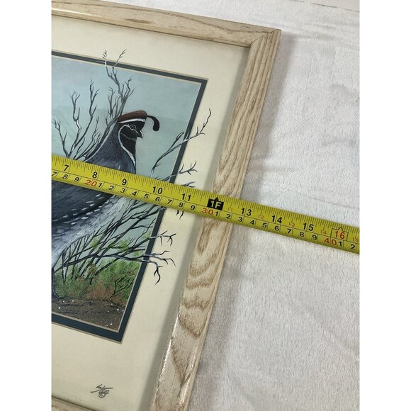 Gambel's Quail by Gerry R Stein 3-D SW Art hand painted One Of A Kind Print - Picture 9 of 9